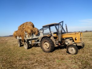 Ursus C-360 & Przyczepa