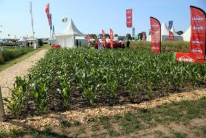 DLG Feldtage - Dni Pola DLG 2014