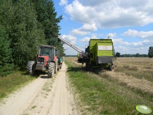 Massey Ferguson 3080 & Sanok