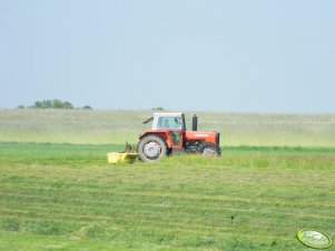 Massey Ferguson 595 & Kosiarka