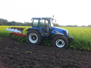 New Holland + vogel noot