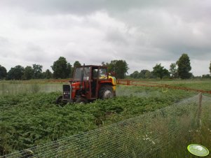 Massey ferguson 255