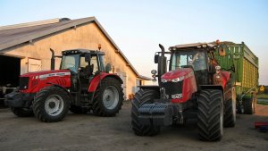 MF 5465 Dyna 4 & 7619 Dyna 6