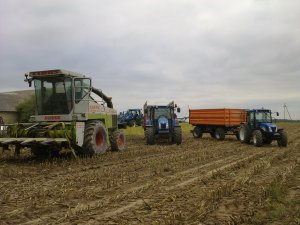 New Holland T4020, TD5030,T5060 ,MF 255 &  CLAAS JAGUAR