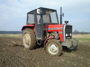 Massey Ferguson 255 + brony