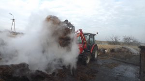 Massey Ferguson 3625