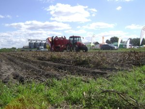 Grimme SE 140 & Zetor 8441 Proxima