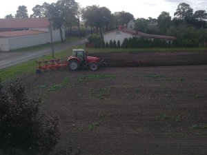 Massey Ferguson  6480 + Vogel & Noot