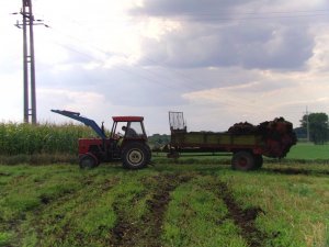 Ursus C-360 + rozrzutnik bergmann