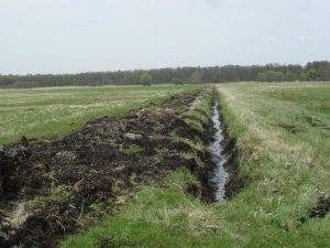 Melioracja łąk