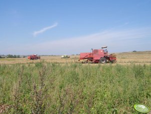 2x Bizon i Claas