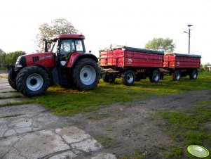 2x Wielton 10 t & Case cvx 150