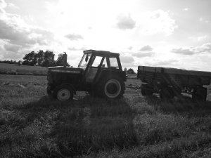 Zetor 8011 + przyczepa