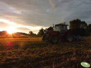 MF 3095 & Mandam KUS