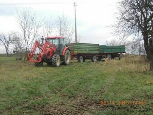 Zetor 8441