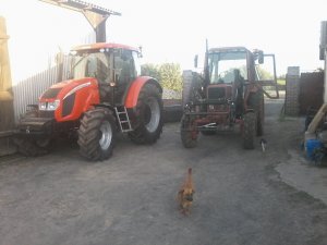 Zetor Forterra i MTZ