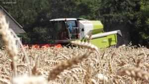 Claas Avero 160