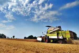 Claas Protector