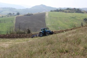 Landini