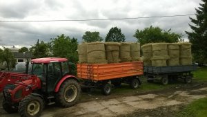 Zetor 8441 + przyczepy