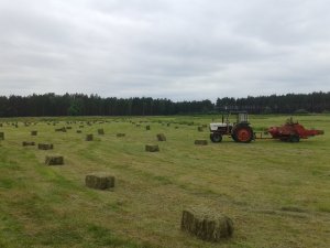 Case David Brown 995