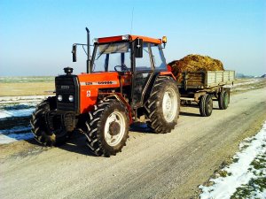 Ursus 5314+przyczepa D-47