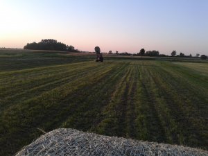 Władimirec T25 & Tur1