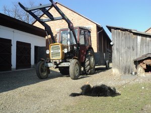 Ursus C-330 & Dwukółka