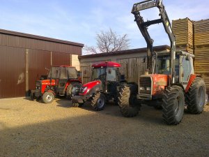Massey Ferguson 3095