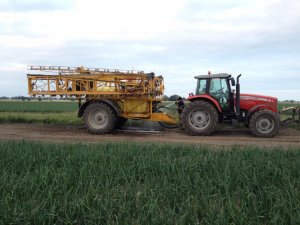 Massey Ferguson 6465