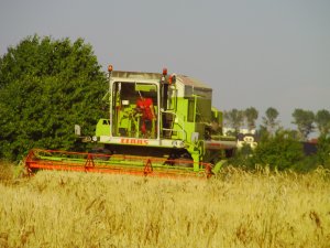 Claas Dominator 105