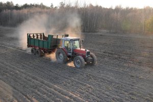 Massey Ferguson 3080 & Fortschritt T-088