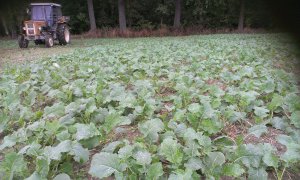 Bezorkowo NK Technic 17.09.2013