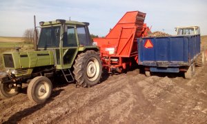 Hurlimann H-480 + Grimme oraz Jumz + Tandem