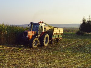 Massey Ferguson 3650