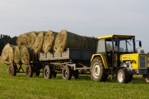 Ursus C-360 + przyczepa d-47 + przyczepa do bel