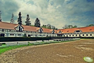 Stadnina koni "Stado Ogierów Książ Sp z o.o."