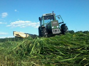 Fendt 308