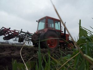 MTZ 80