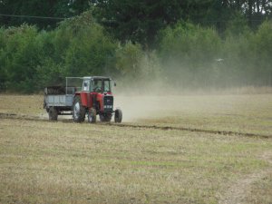 Massey Ferguson 590+Rozrzutnik