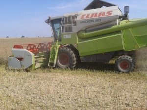 Claas Medion 310