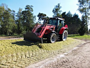 Massey Ferguson 5455