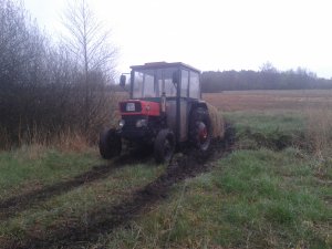 MF 135