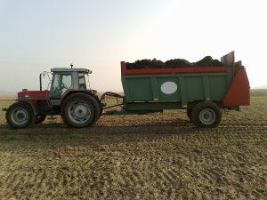 Massey Ferguson 3120 + Siam ED85