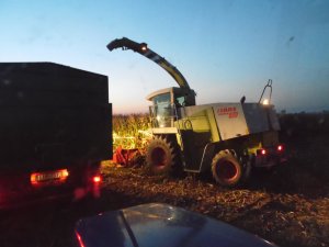 Claas Jaguar