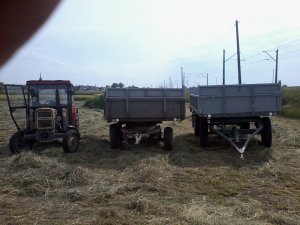 Ursus C-330 z przyczepami