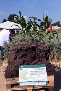 DLG Feldtage - Dni Pola DLG 2014