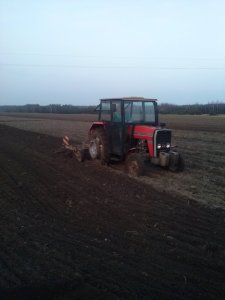 Massey Ferguson 255 + Kultywator