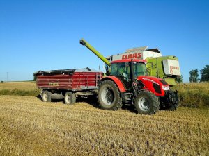 Zetor Forterra 115 + Zasław & Claas Dominator 112 CS