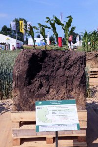 DLG Feldtage - Dni Pola DLG 2014